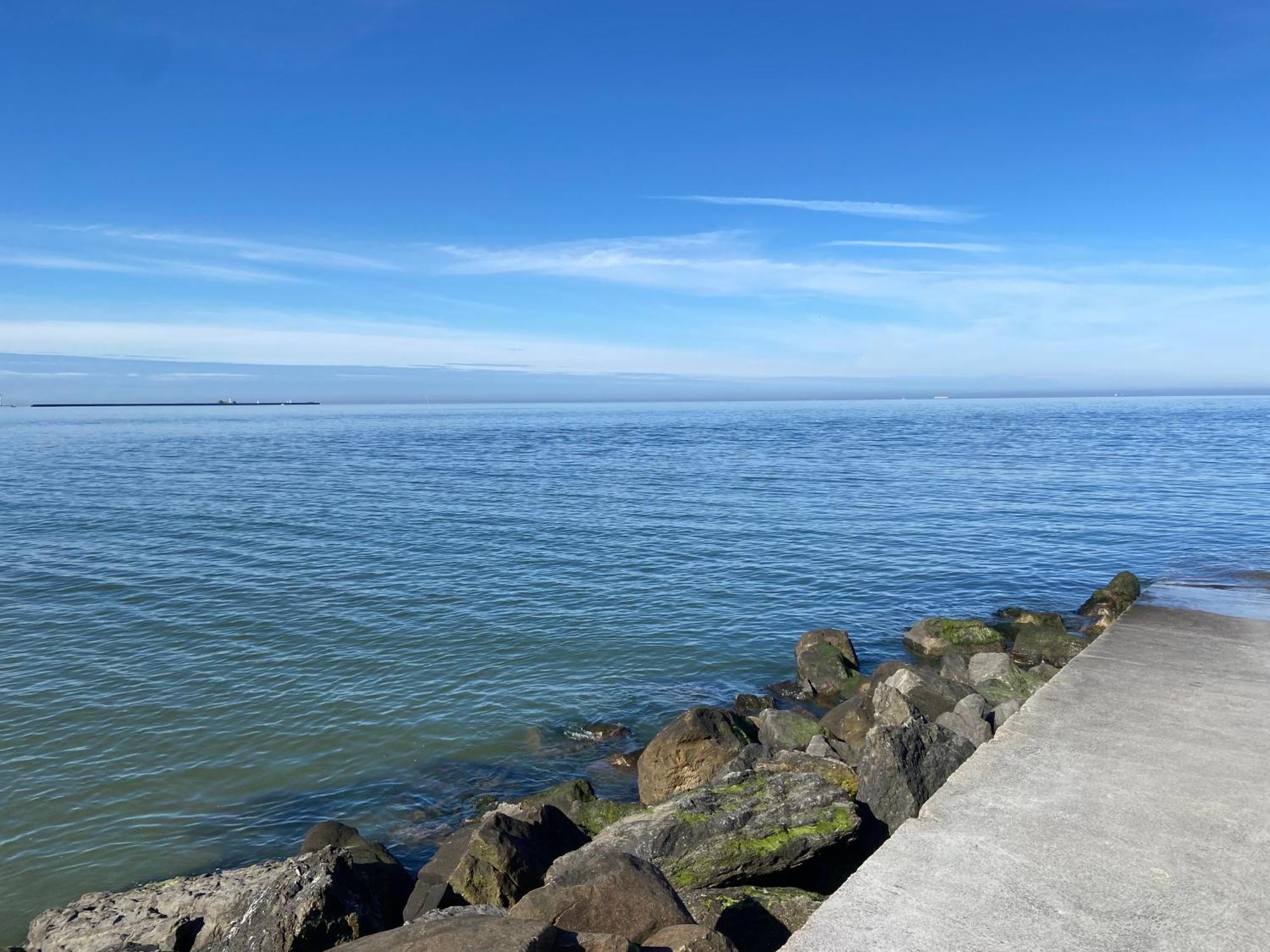 Brise De Mer Sur La Naturelle, Studio A Wimereux , Parking Eksteriør bilde